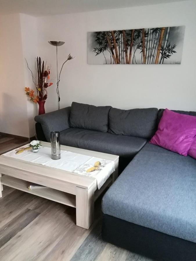 Haus Maisonette Am Harz Niedersachswerfen Εξωτερικό φωτογραφία